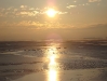 dsc09510.jpg