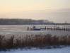 dsc09513.jpg