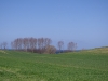 imgp0221.jpg