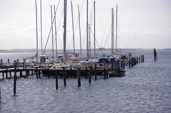 imgp0088.jpg