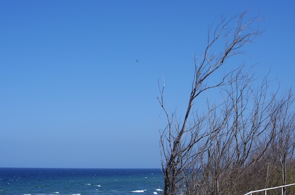 imgp0165.jpg