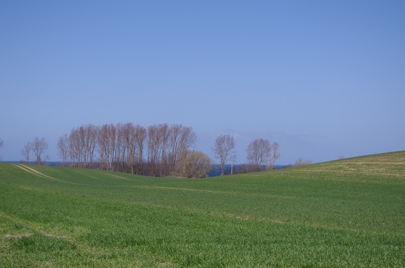 imgp0221.jpg